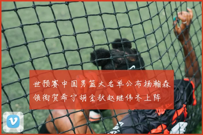 世预赛中国男篮大名单公布杨瀚森领衔贺希宁胡金秋赵继伟齐上阵